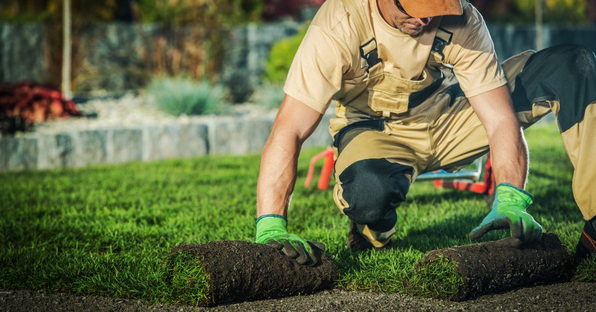 diseno de paginas web para landscaping