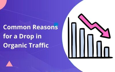Common Reasons for a Drop in Organic Traffic