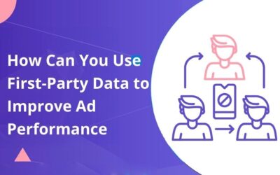 How Can You Use First-Party Data to Improve Ad Performance After Google’s Privacy Updates?