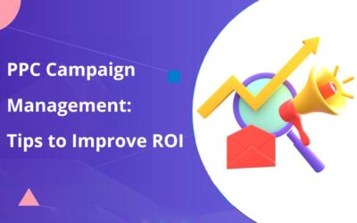 PPC Campaign Management. Tips to Improve ROI in 2025