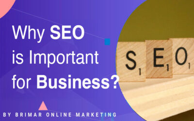 Why SEO is Important for Business