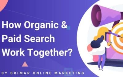 How Organic & Paid Search Work Together? (Must Know Stuff)