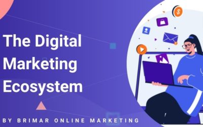 The Digital Marketing Ecosystem: Definition, Elements & Why