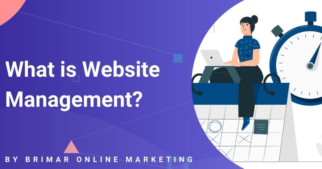 what is website management