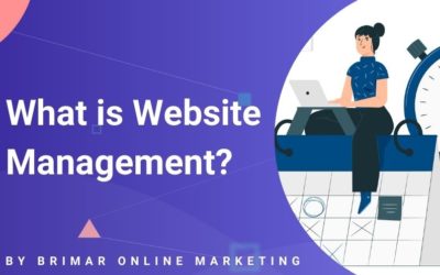 What is Website Management?