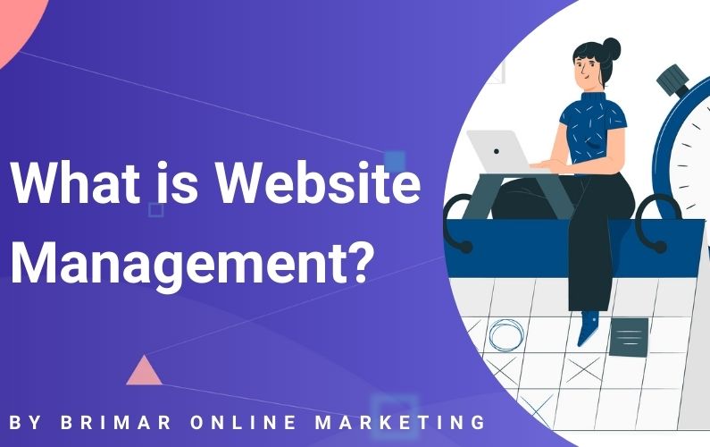 What is Website Management?